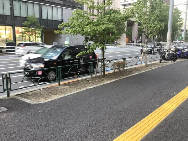 実際の収入はどれほどなのか